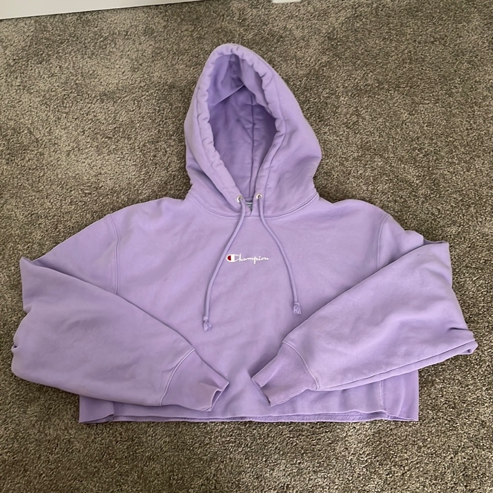 Champion cropped hoodie size large